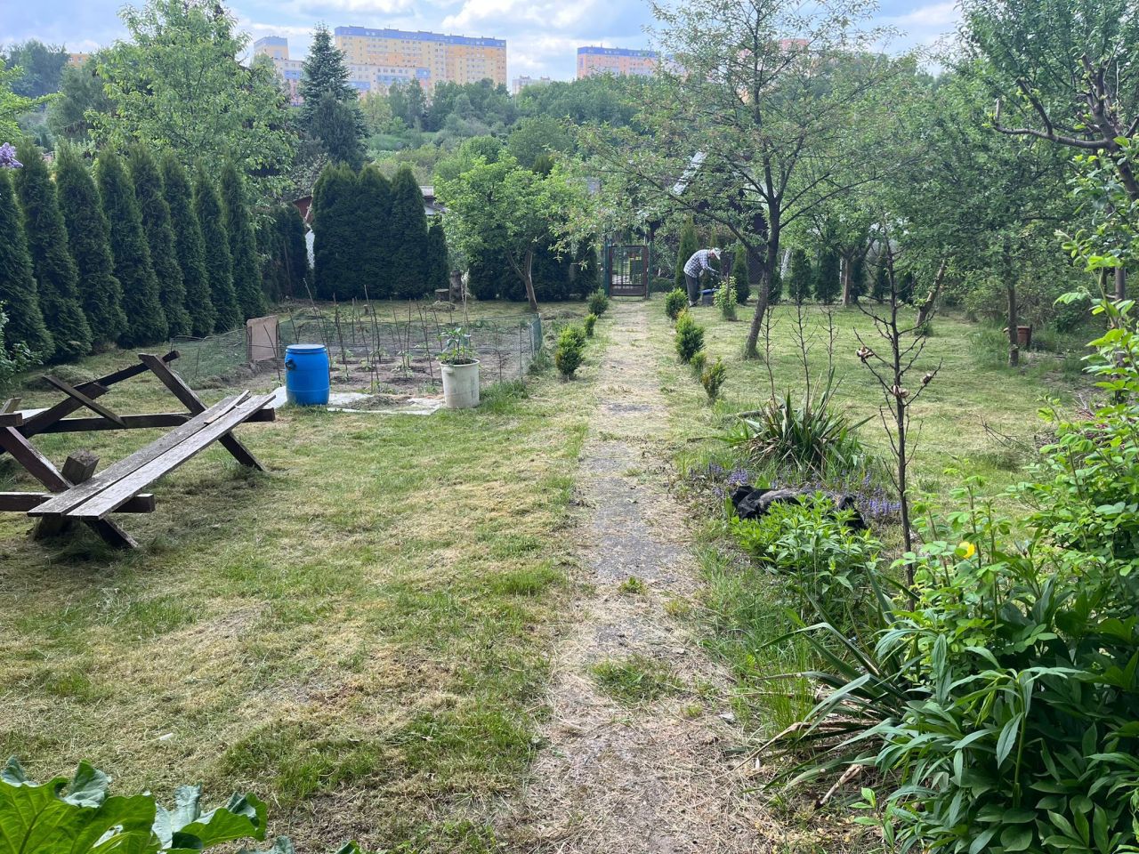 Działka rod Olsztyn, ul. Ignacego Krasickiego. Zdjęcie 3