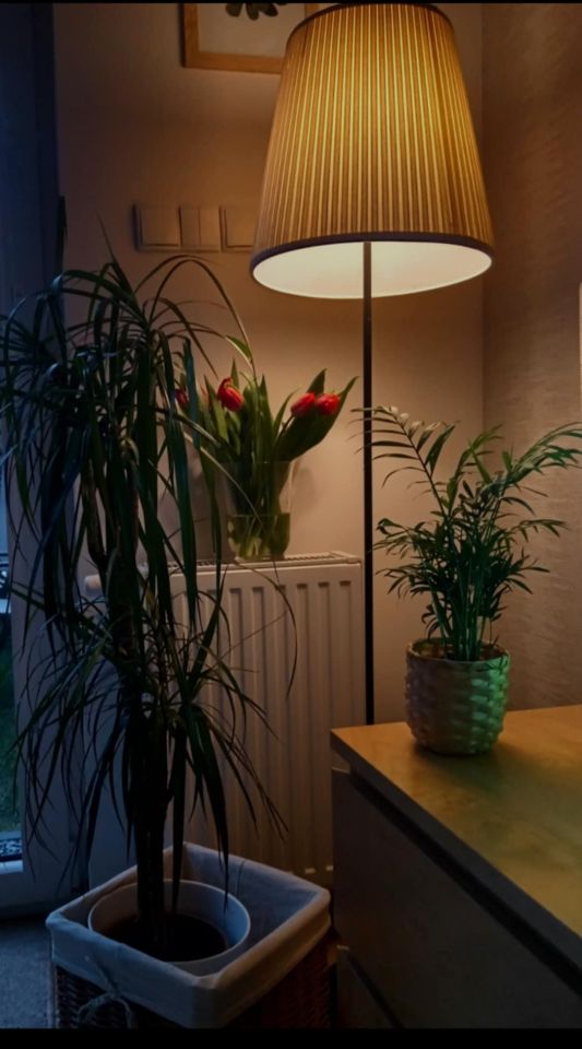 dom szeregowy, 5 pokoi Smolec, ul. Jagodowa. Zdjęcie 7