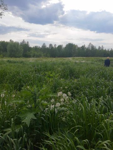 Działka inna Zdedy. Zdjęcie 1