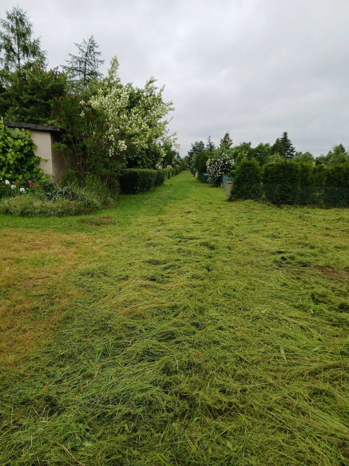 Działka rod Wrzosowa. Zdjęcie 5