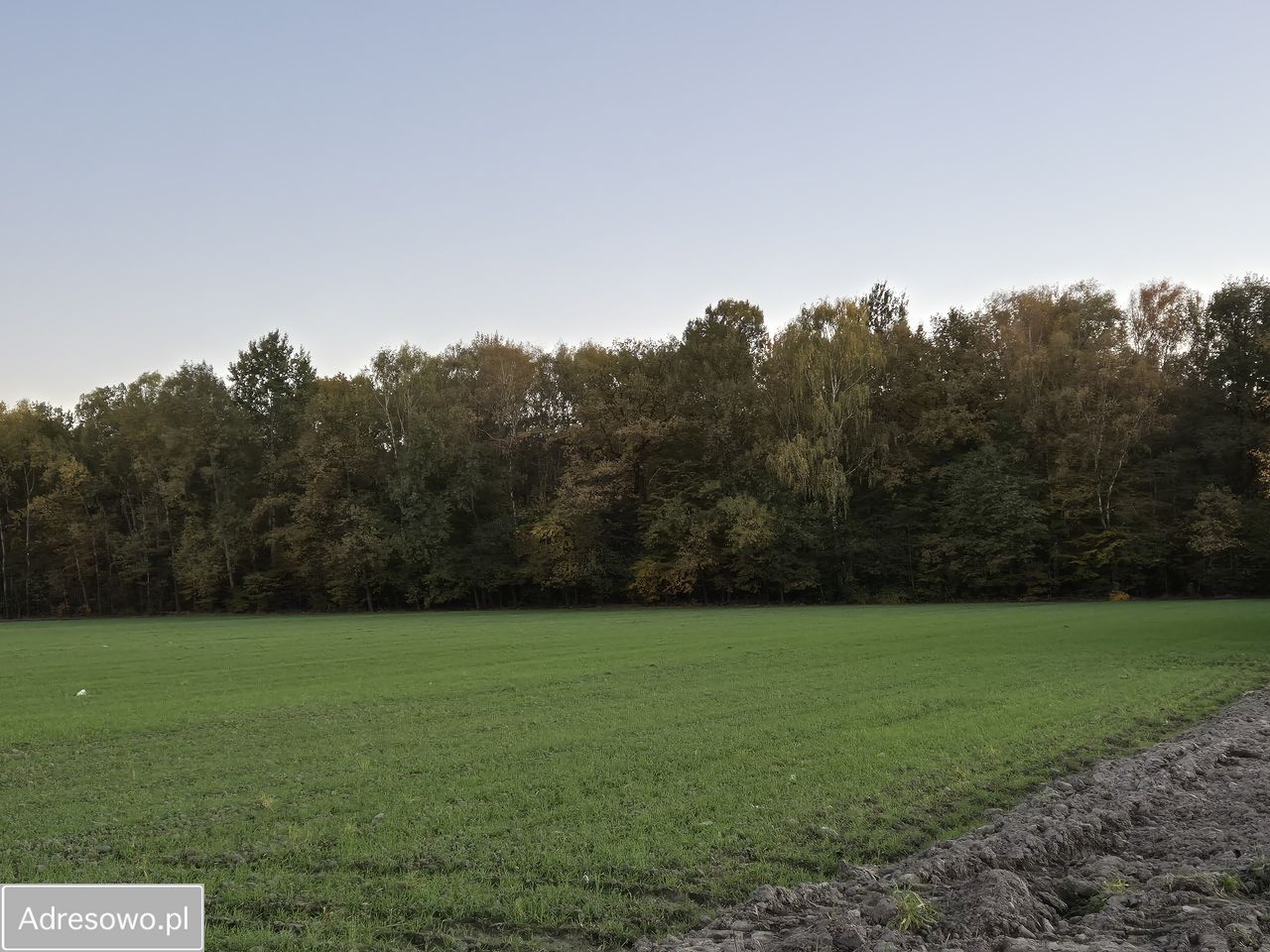 bliźniak, 4 pokoje Gliwice Żerniki, ul. Leśna. Zdjęcie 10