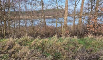 Działka budowlana Orliczko