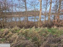 Działka budowlana Orliczko. Zdjęcie 1