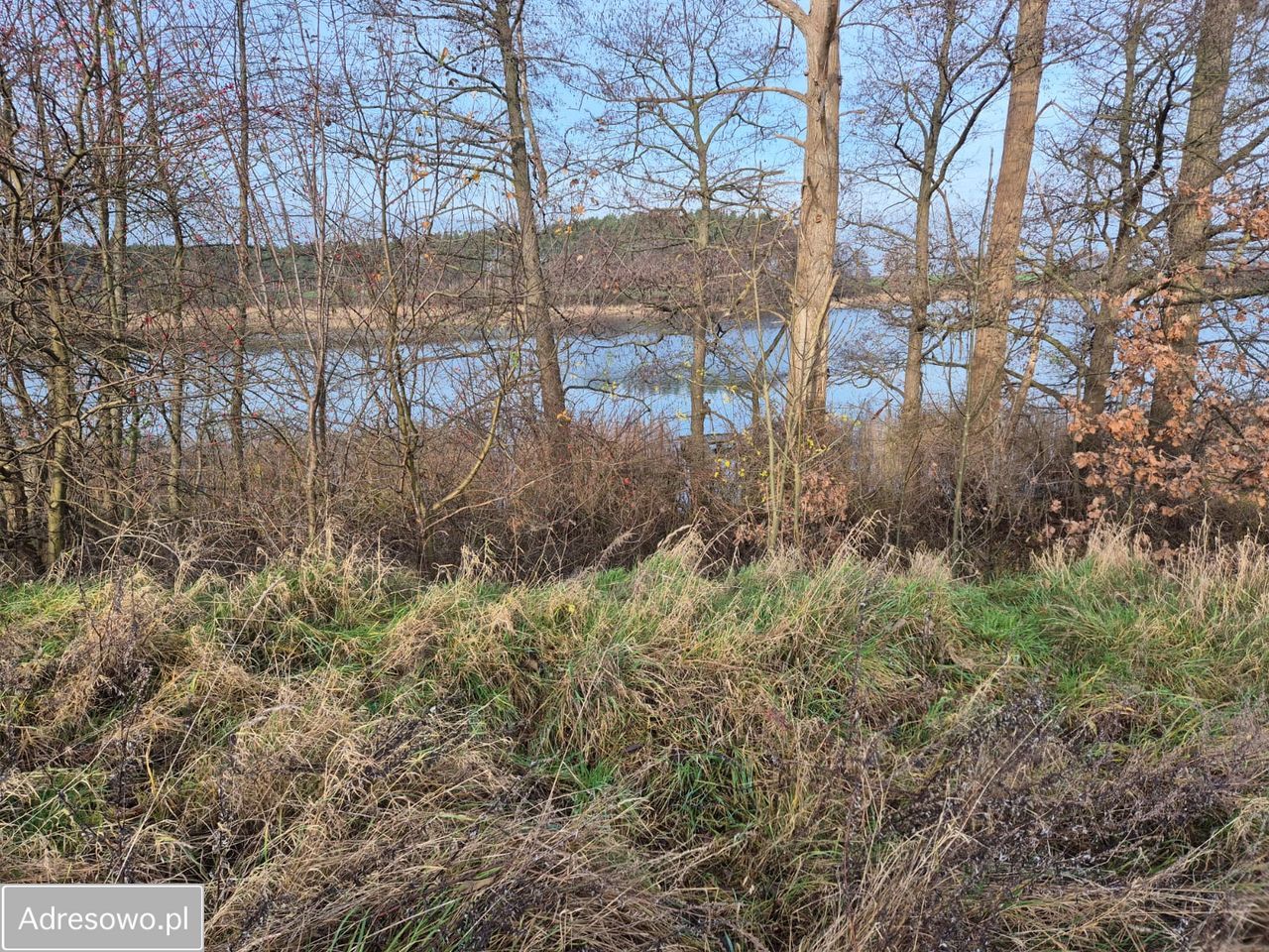 Działka budowlana Orliczko. Zdjęcie 2