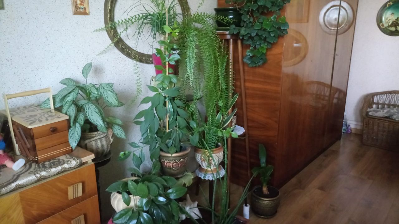 dom wolnostojący, 2 pokoje Ostrowiec Świętokrzyski Zygmuntówka, ul. Zygmuntówka. Zdjęcie 32