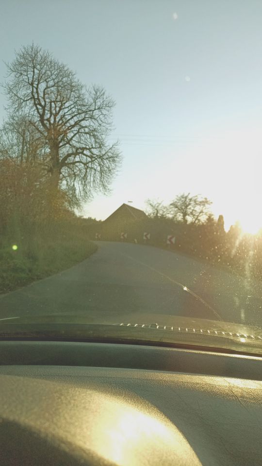 Działka rolno-budowlana Niedamowo. Zdjęcie 9