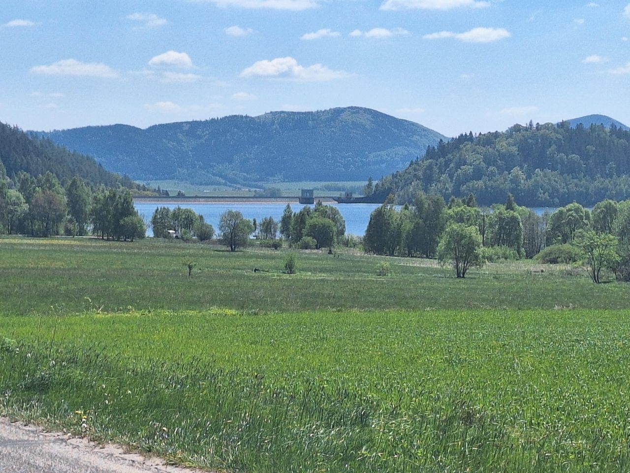 Działka rolno-budowlana Stara Białka. Zdjęcie 6