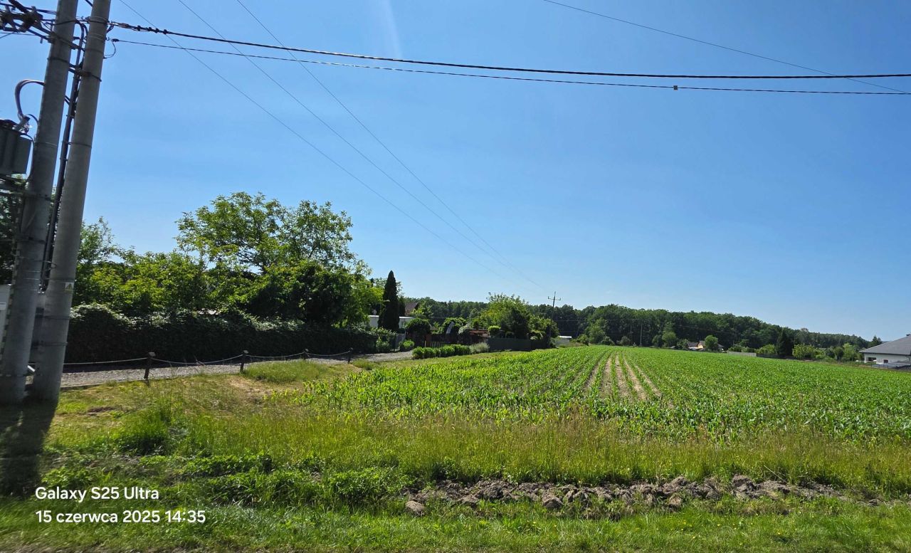 Działka budowlana Górki Wielkie, ul. Nowy Świat. Zdjęcie 6
