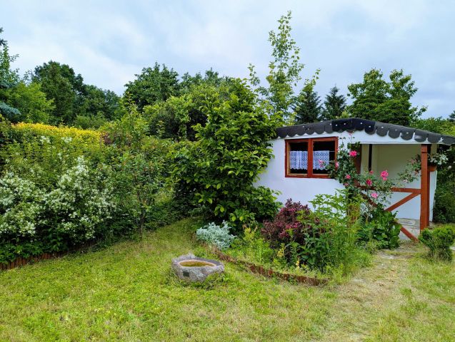 Działka rod Łódź Śródmieście. Zdjęcie 1