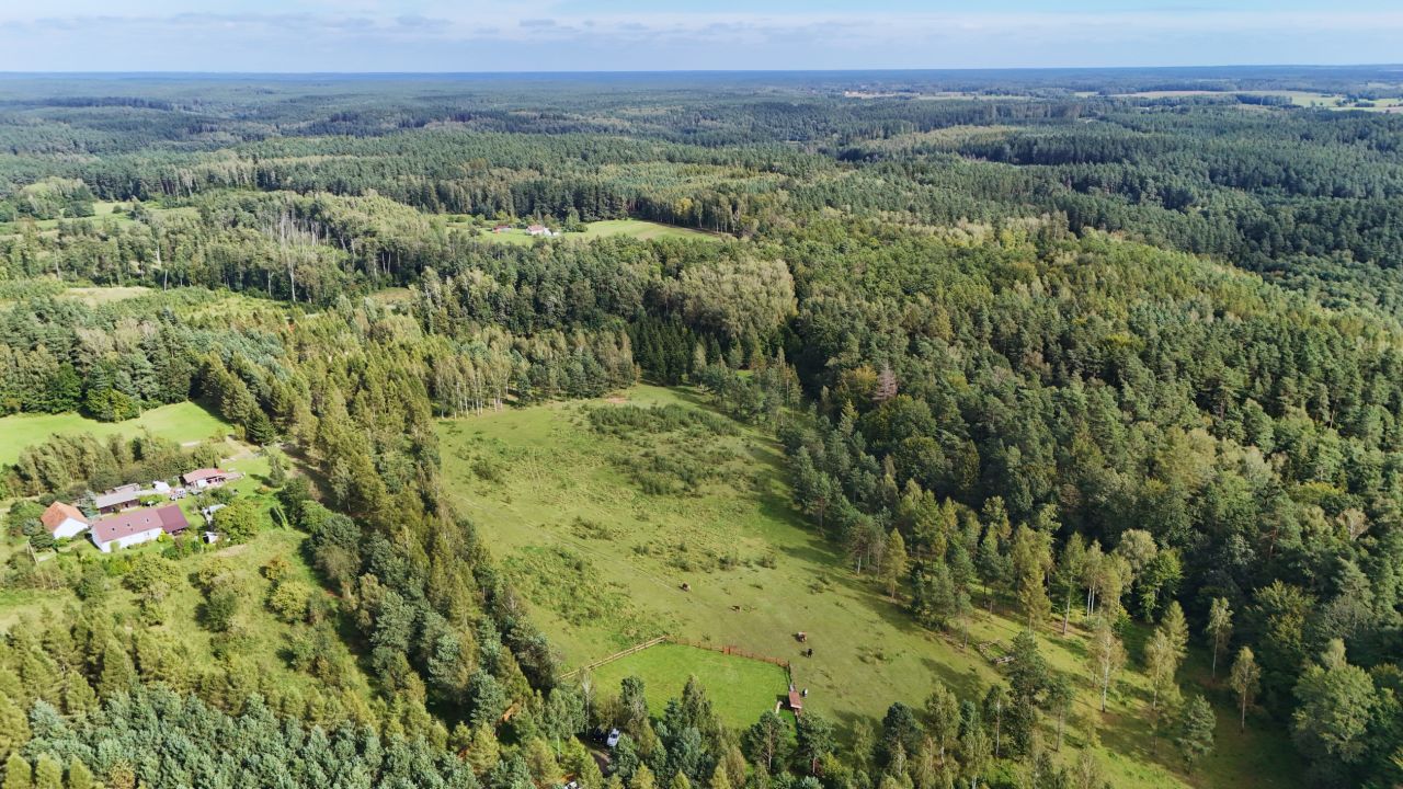 Działka budowlana Ostrowin. Zdjęcie 2