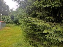 Działka budowlana Rogowo. Zdjęcie 2