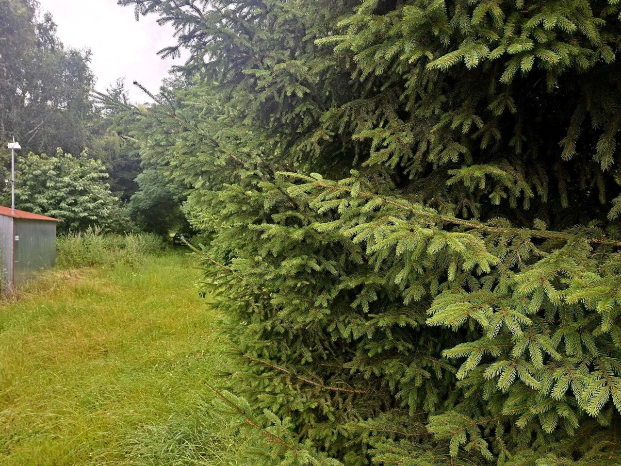 Działka budowlana Rogowo. Zdjęcie 3