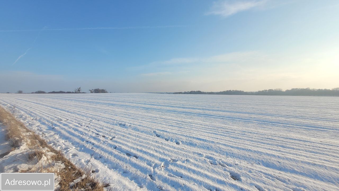 Działka budowlana Szewce, ul. Długa. Zdjęcie 6