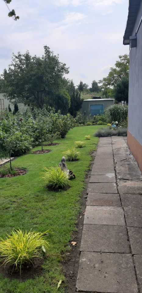 Działka rod Łódź Górna, ul. Pustynna. Zdjęcie 3