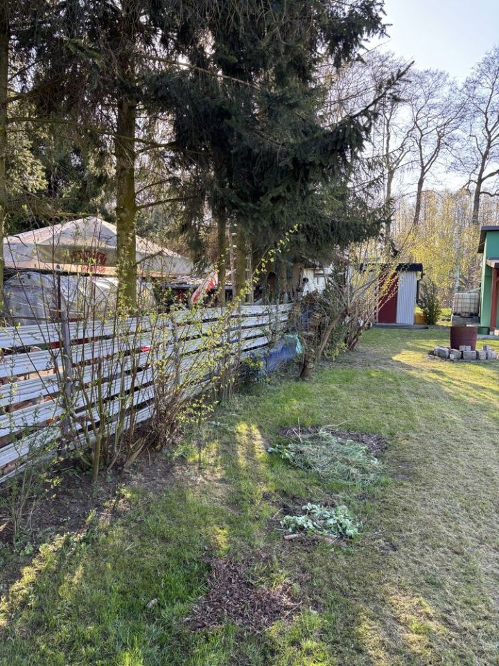 Działka rod Rogoźnik. Zdjęcie 6