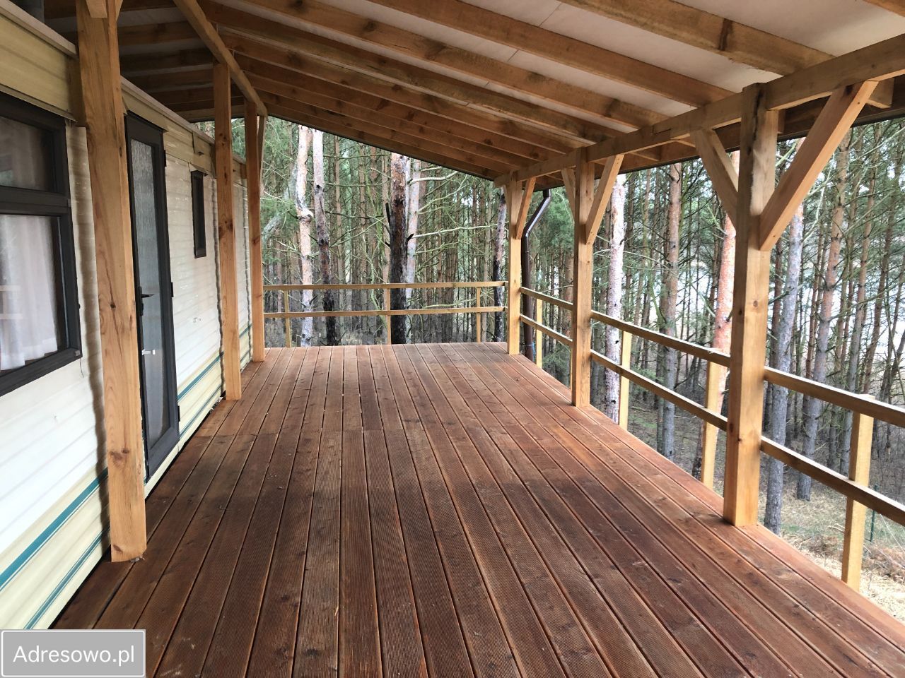 Działka leśna Anastazewo. Zdjęcie 12