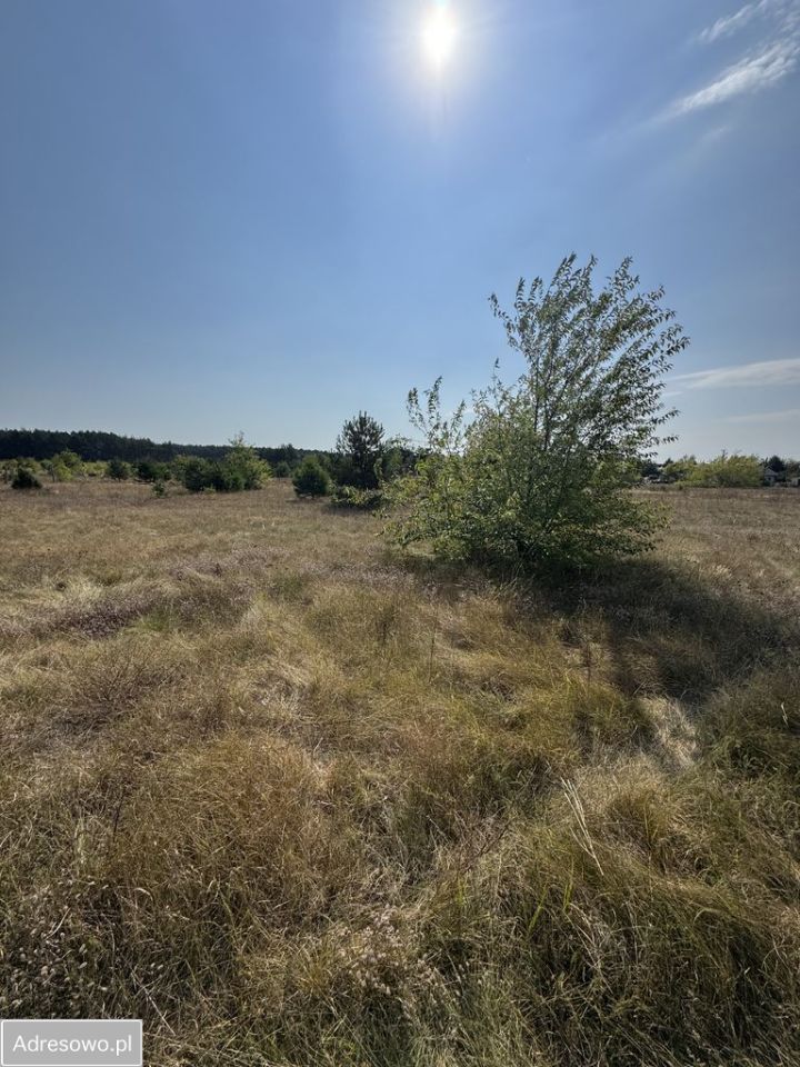 Działka budowlana Piaski Brzóstowskie. Zdjęcie 4