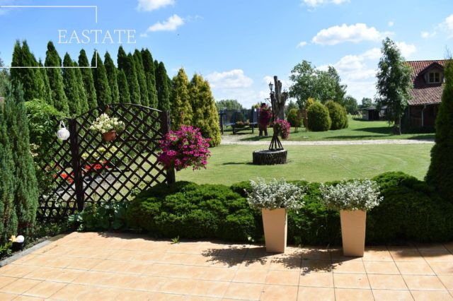 Lokal Dąbrowa. Zdjęcie 8