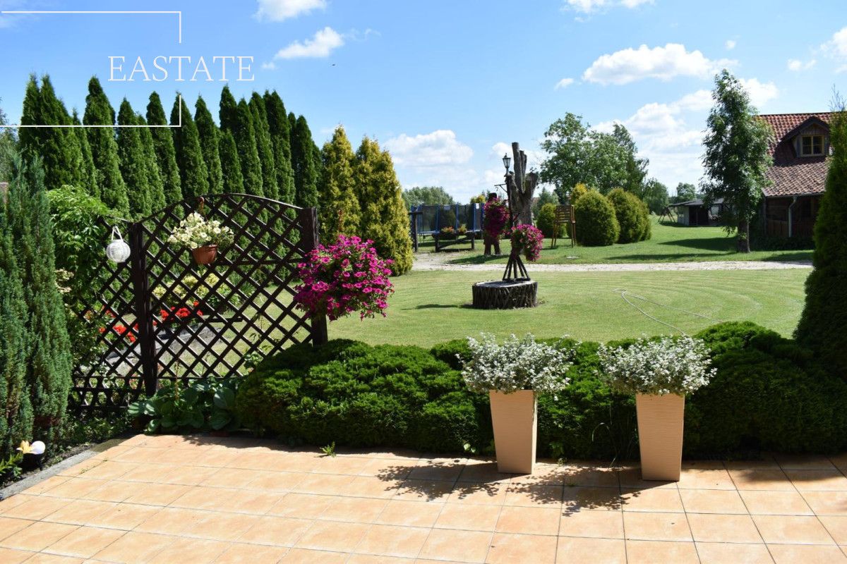 Lokal Dąbrowa. Zdjęcie 8