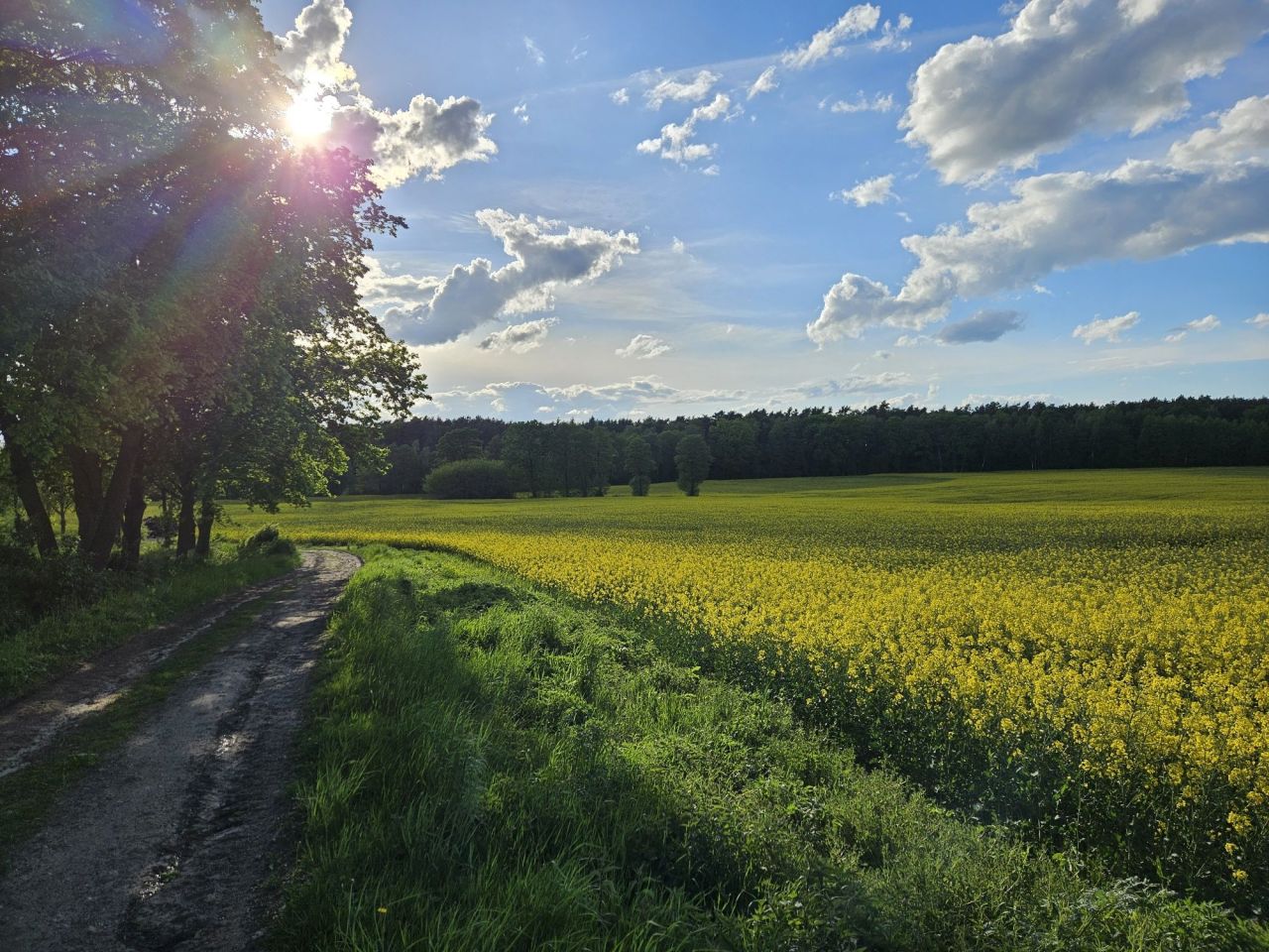 Działka budowlana Trzebicko. Zdjęcie 5