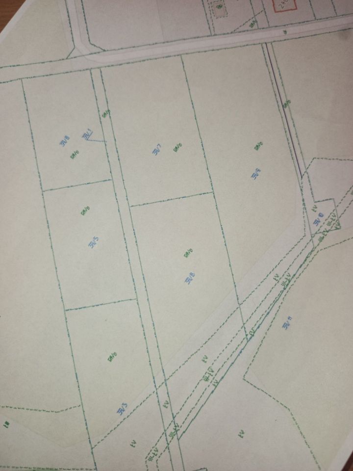 Działka budowlana Czerniki. Zdjęcie 2