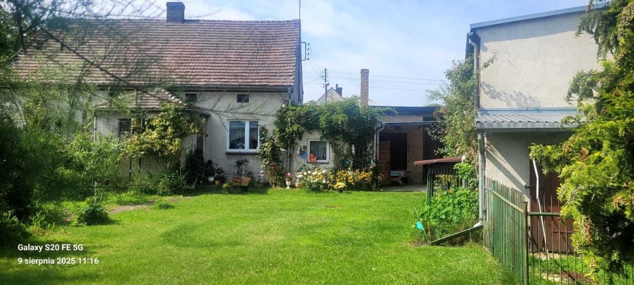 dom wolnostojący, 5 pokoi Budziechów. Zdjęcie 6