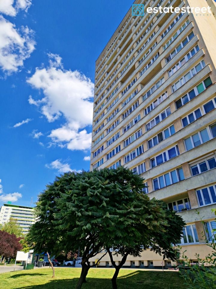 Mieszkanie 1-pokojowe Katowice Koszutka, ul. Katowicka. Zdjęcie 19