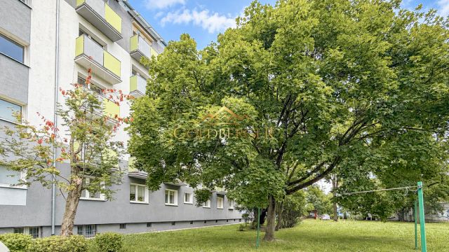 Mieszkanie 2-pokojowe Poznań Raszyn, ul. Raszyńska. Zdjęcie 21