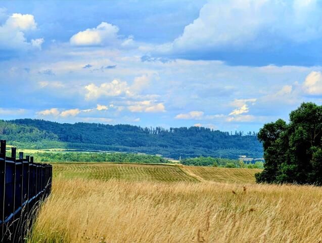 Działka budowlana Gorzanów Muszyn. Zdjęcie 2