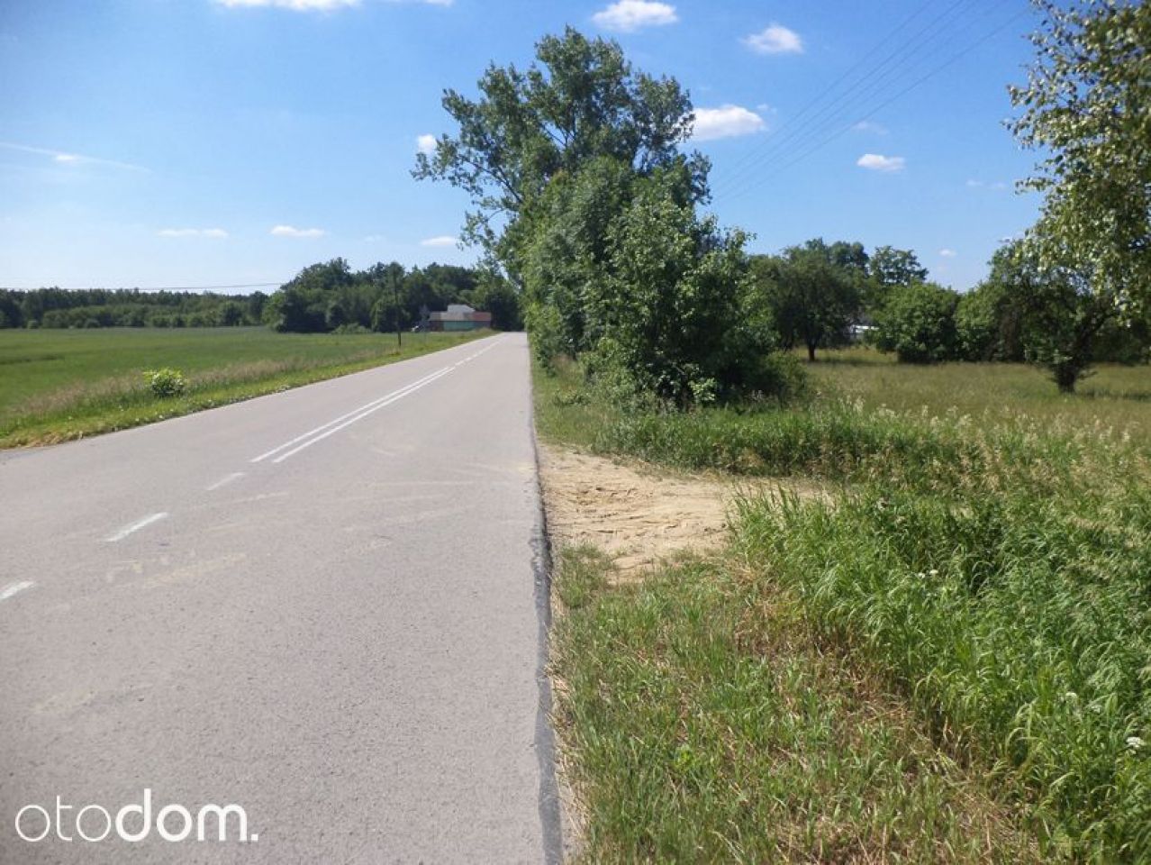 Działka siedliskowa Rędziny. Zdjęcie 18