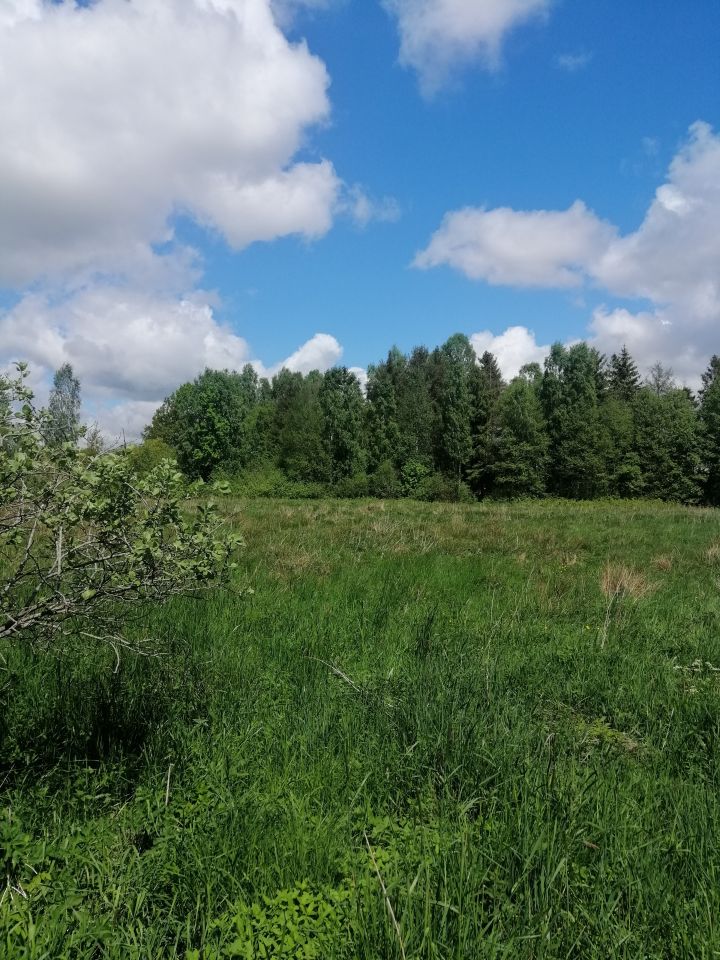 Działka rolna Sierakowo Słupskie. Zdjęcie 7