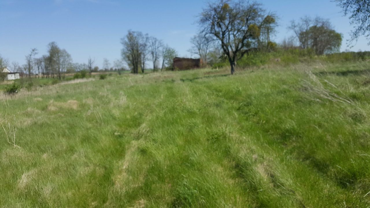 Działka budowlana Zaborowo. Zdjęcie 7