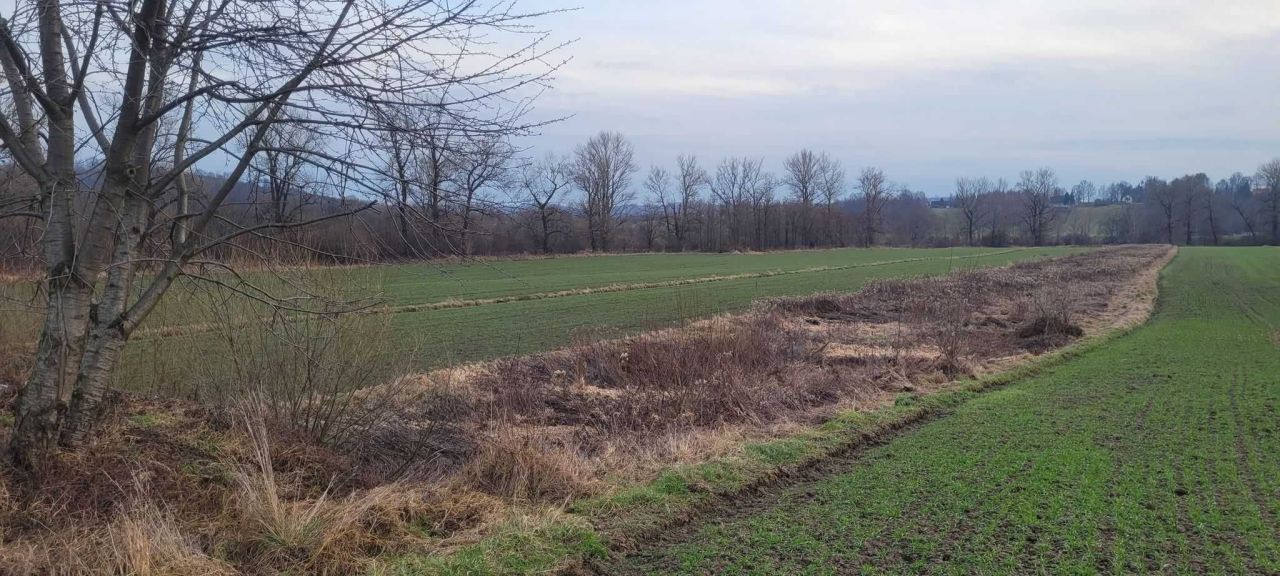 Działka rolno-budowlana Stanisławice. Zdjęcie 3