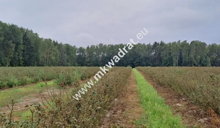 Działka budowlana Powązki