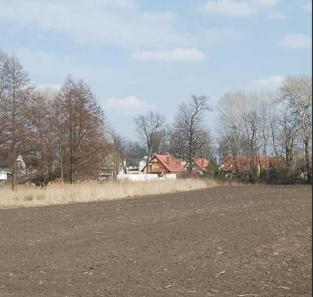 Działka budowlana Krzeptów. Zdjęcie 1