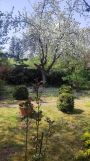 Działka rod Zabierzów, ul. Rzemieślnicza. Zdjęcie 4
