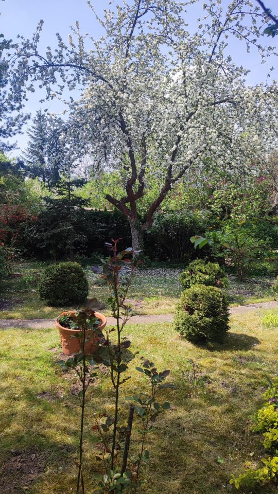 Działka rod Zabierzów, ul. Rzemieślnicza. Zdjęcie 5