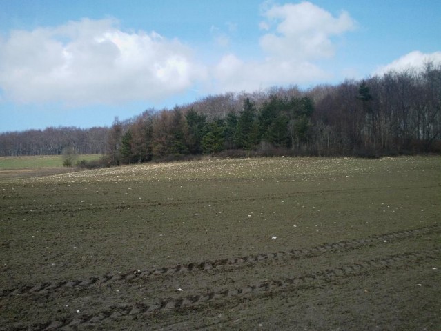 Działka rolna Mokrus. Zdjęcie 1