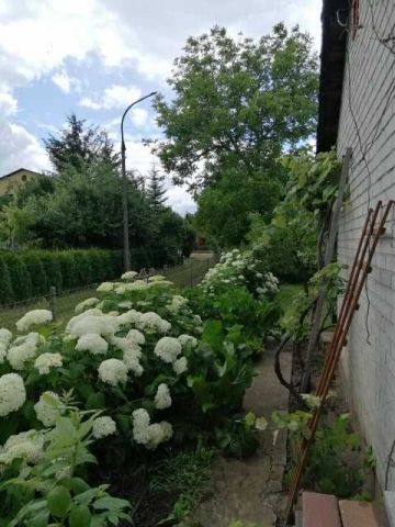 Działka rod Warszawa Zacisze, ul. Krzesiwa. Zdjęcie 2