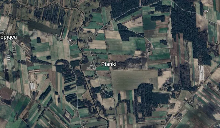 Działka leśna Pianki