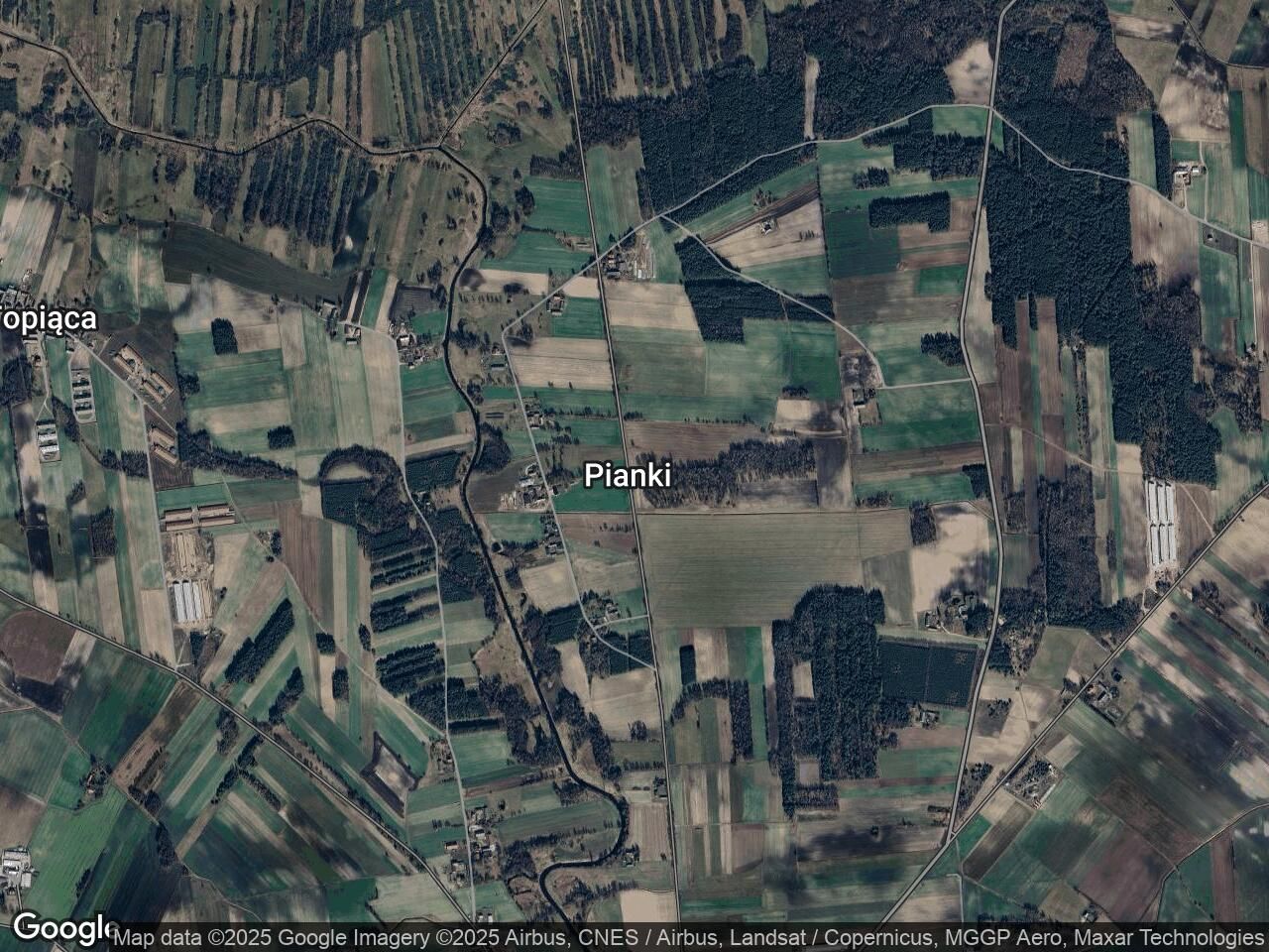 Działka leśna Pianki