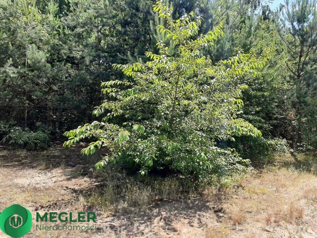 Działka budowlana Musuły. Zdjęcie 7