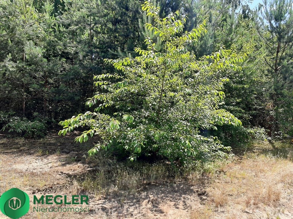 Działka budowlana Musuły. Zdjęcie 7