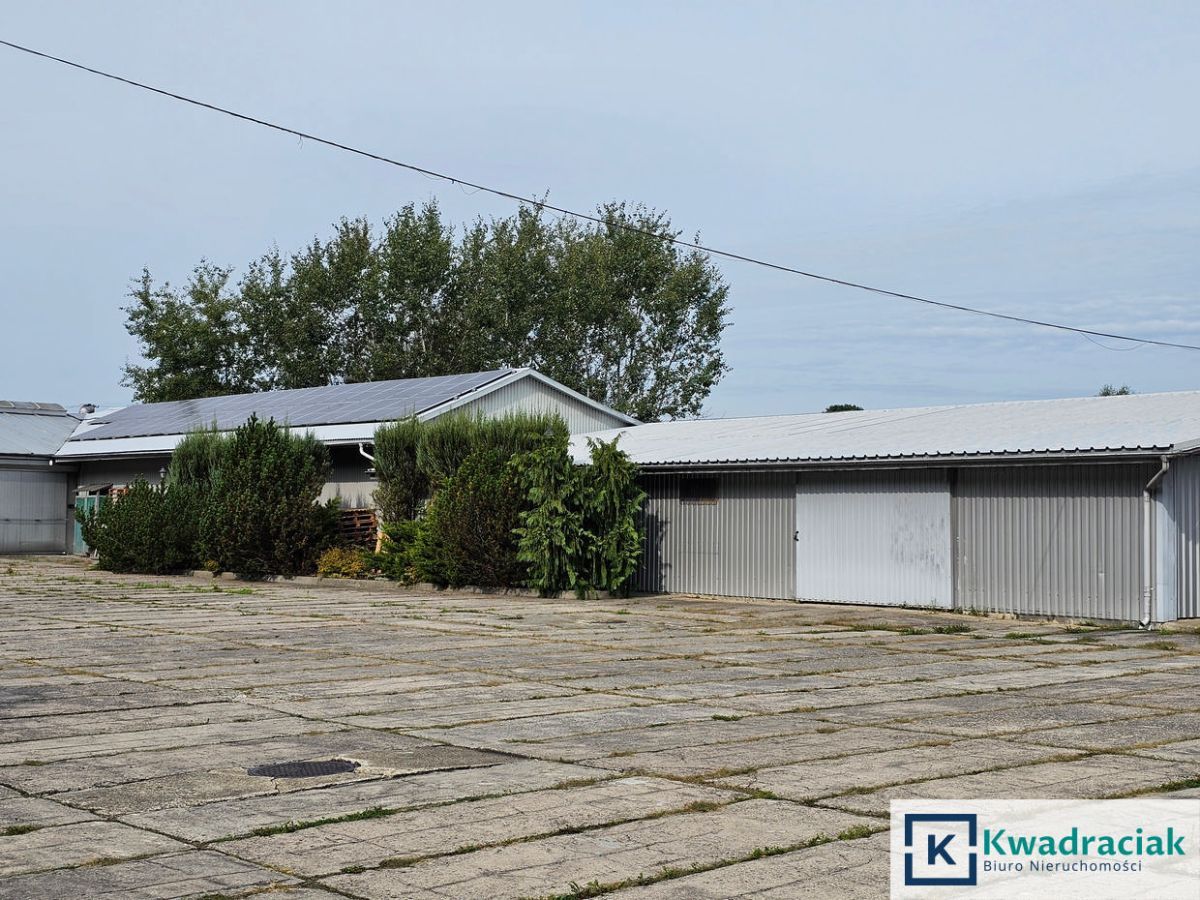 Lokal Brzozów. Zdjęcie 18