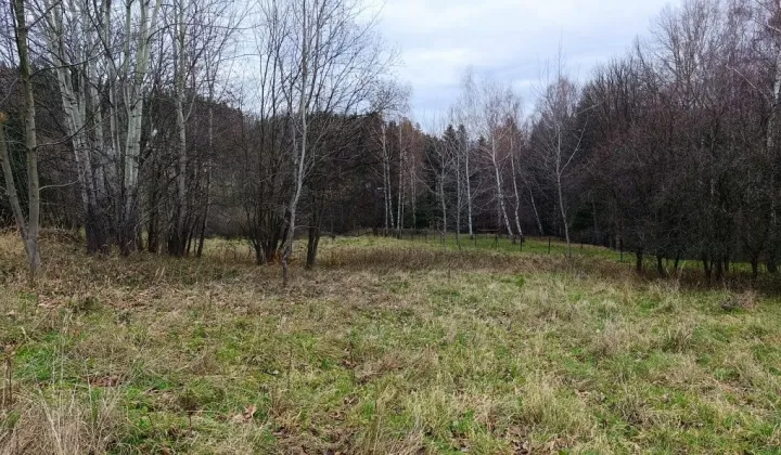 Działka budowlana Stryszawa