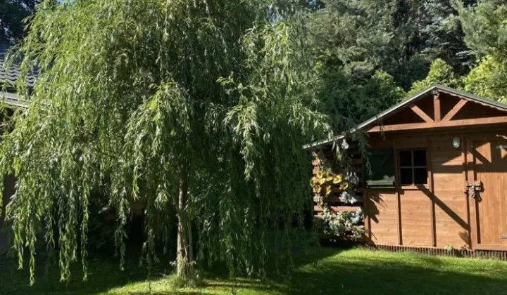 Działka rekreacyjna Młynarze, Młynarze