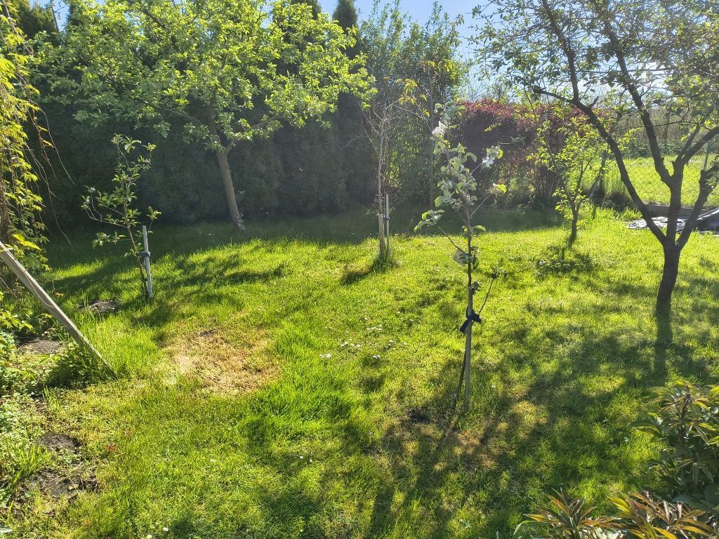 Działka rod Kazimierz. Zdjęcie 3