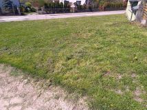 Działka budowlana Wodzisław, ul. Jędrzejowska. Zdjęcie 1