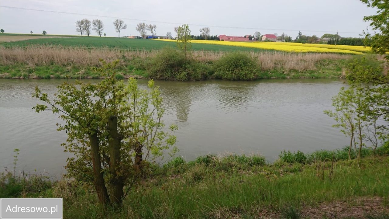 Działka budowlana Prędocin. Zdjęcie 6