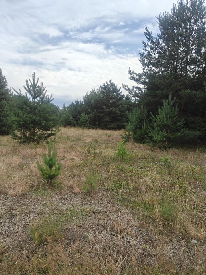 Działka budowlana Rąpin. Zdjęcie 17